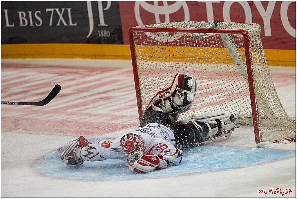 DEL, Koelner Haie - Fishtown Pinguins Bremerhaven, 29.01.2017